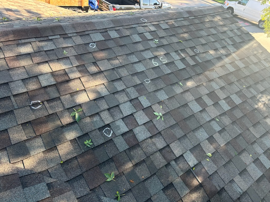 Hail damage circled in chalk during a roof inspection on a Littleton, Colorado home